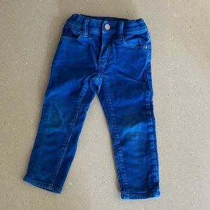 Gap bright blue cords